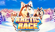 Arctic Race